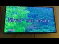 Never say never 歌ってみた 渋谷凛
