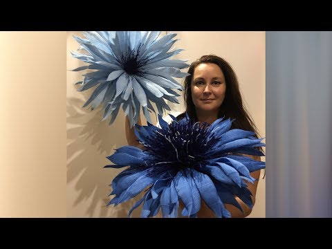 Video: What Kind Of Flower Is A Cornflower