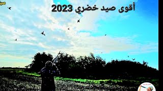 The best duck hunting video 2023   صيد خضري مع أمهر الصيادين لا يفوتك