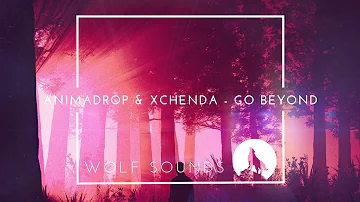 animadrop & xChenda - Go Beyond