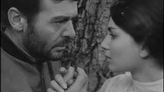 ACE Joint Film Restoration Grant Winner 2024: The Peach Thief (1964)