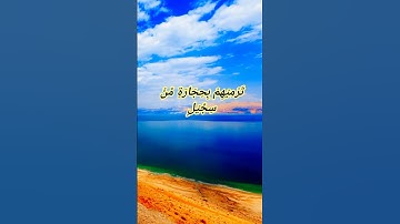 Surah Al-Fil | By Qari Shah Nasim Saheb | Full With Arabic Text | سورة الفيل - 105