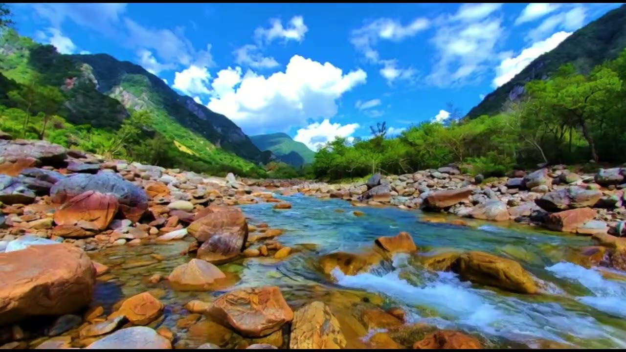 Autumn Leaves Rustling. Gentle Wind Sounds for Stress Relief - ASMR Nature Sound for Relax