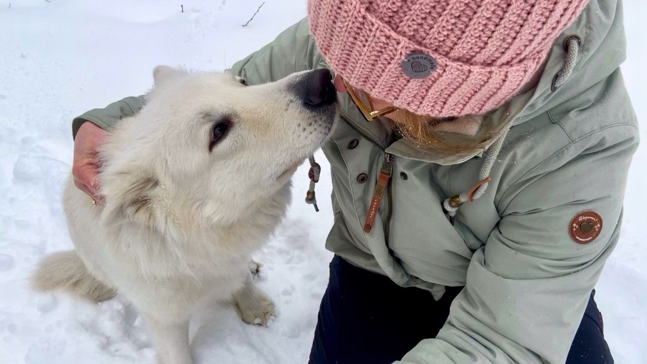 ❤️‍🩹 Jocke ist verletzt / Besuch bei der Tierärztin