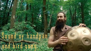 Relax to the sound of birdsong and the harmony of Handpan sounds