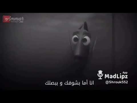 السمكة نيمو ودوري فيلم كرتون