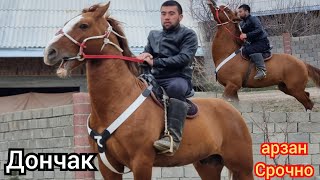 💥ДОНЧАК 💥 Ноокат Центрден ХАЖЫДАН САТУУГА ЧЫКТЫ