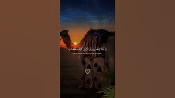 { أفلا ينظرون إلى الإبل كيف خلقت } الآية 17 من سورة الغاشية