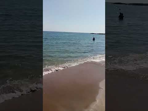 На Лозенец