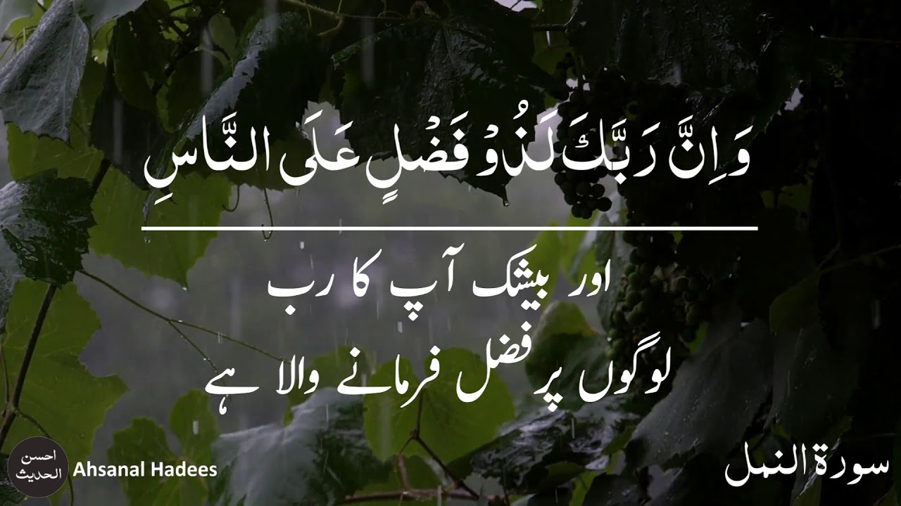 Quran tilawat status | Quran urdu whatsapp status | quran urdu translation status