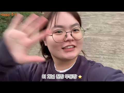 시즈니 브이로그 인데 일상을 곁들인 ..