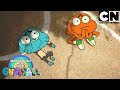 El caos tiene nombre: Gumball | El Maravillosamente Extraño Mundo de Gumball | Cartoon Network