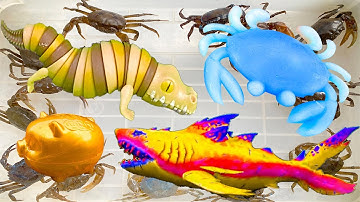 Kem Ốc Chanel ra bờ ao câu con cá, cá sấu gặp cá mập Baby Shark, con nhện khổng lồ cắn con cua, lươn