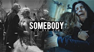 Harry Potter Relationships || Somebody To Die For