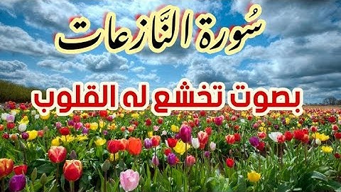 سورة النازعات للقارئ ^محمد هشام^صوت هادئ ومريح
