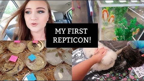 MY FIRST REPTICON WITH MY FIANCE! | REPTILE EXPO!! | ItsAnnaLouise