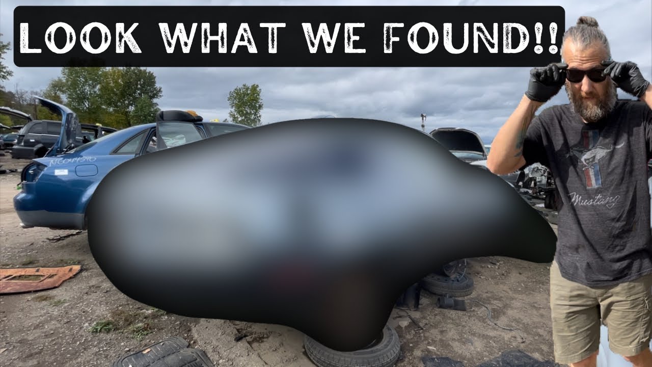 What Did We Find At The Junk Yard? YouTube