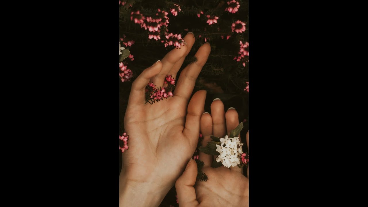 Immersing in Joy: Somatic Anchoring Practice