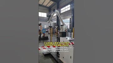 Industrial robots revolutionize production and logistics #palletizingrobot  #palletizer #machine