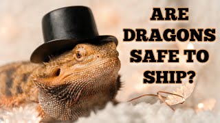 IS IT SAFE TO SHIP BEARDED DRAGONS?