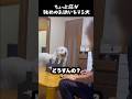 ちょっと圧が強めのお誘いをする愛犬　#グレートピレニーズ #大型犬 #愛犬 #かわいい犬 #greatpyrenees