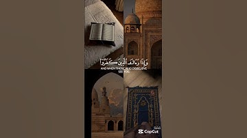 سورة الأنبياء ❤️‍🩹🌿 | #quran #القرآن_الكريم #حالات_واتس #تلاوة_خاشعة #ياسر_الدوسري