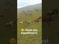 Like atamayı unutmayın 🧑‍🌾