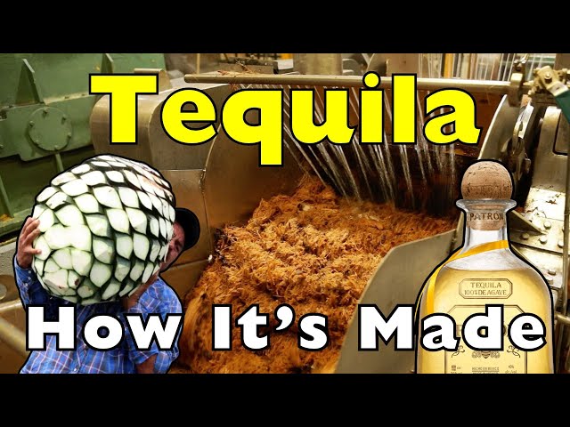 How Is Tequila Made?