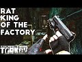 The Rat King of the Factory ; Standard Account Day 13 - Escape From Tarkov