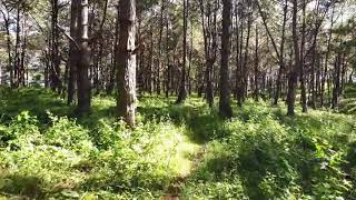 How to Upload AVI on Mac Using Chrome