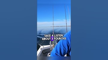 Turtlebox Speaker Sound Test!! #bluetoothspeaker #turtlebox