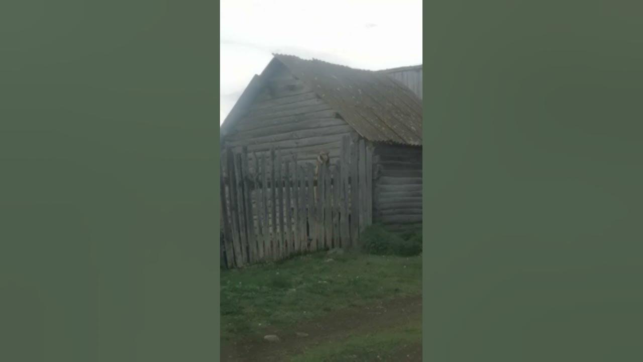 Соседушка - YouTube