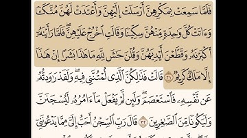 سورة يوسف مكتوبة / صلاح باعثمان