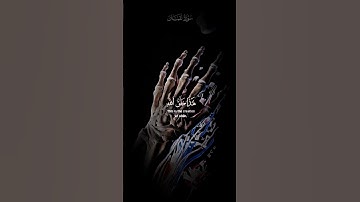 هذا خلق الله | سورة لقمان - الآية11«القارئ #اسلام_صبحي  💙🌺 سبح ربك تأجر 🤍