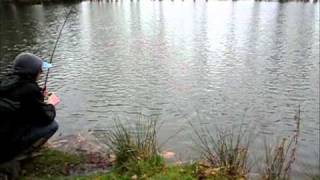 Carnassier 2011 - Pêche du brochet au poisson nageur (Rapala articulé perche)