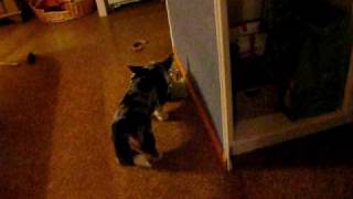 Bild 118.avi