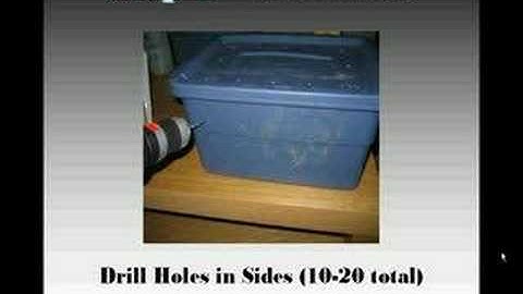 Setting Up a Worm Composting Bin