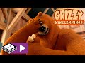 Grizzy en de Lemmings | Duiken in het wild | Boomerang