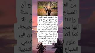 #قصص_واقعية #معلومات_عامة