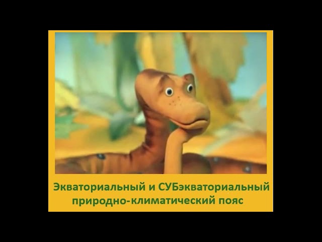 4.2.1. Экваториальный и субэкваториальный климатический пояс