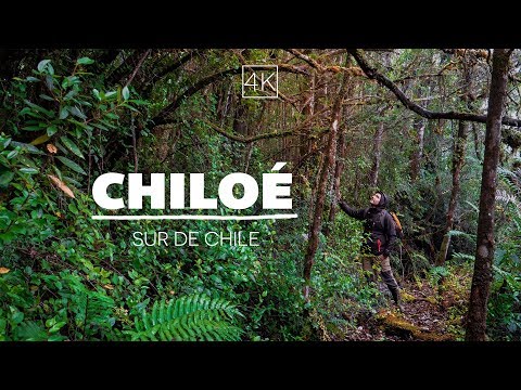 el lado más salvaje de CHILOÉ - Sur de Chile 4K - GoCarlos