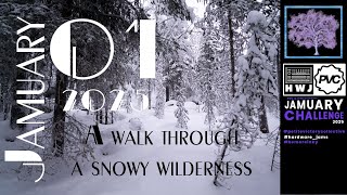 2025 Jamuary 01: Snowy Wilderness With Moog One, Minimoog Model D and Yamaha PSR-SX900