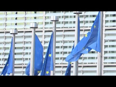 საქართველო ევროკავშირის გადაწყვეტილების მოლოდინშია