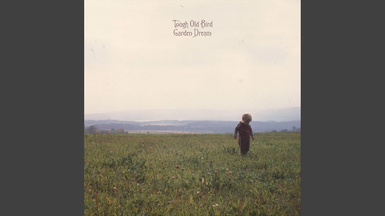 Watch Fossils on YouTube Watch Fossils on YouTube