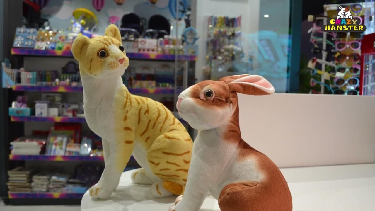 Yavatmal Biggest Toy Store. Best quality soft toys available. YouTube