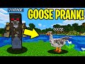 TROLLING AS A GOOSE IN MINECRAFT!