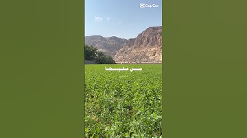 القران الكريم ☪️🕋☝️!#quranreading #tilawati354 #اكسبلور #لايك #surah #ترند #shortvideo