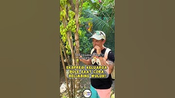Ekspresi Keluarga Bule Saat Coba Belimbing Wuluh!!! #shortsvideo #reaksibule #belimbingwuluh