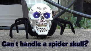 Skeleton Spider Remote control toy for HaLLOwEEN
