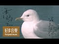 魏如萱 waa wei [ 海鷗先生我愛你 Mr. Seagull, I Love You ] Official Lyric Video